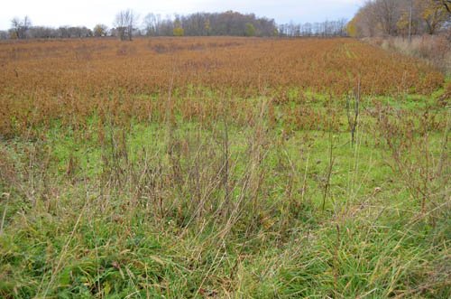 Property photo 20 - 80 Acres & Home - Property Offered in 4 Tracts from 2.3 to 30.0 Acres